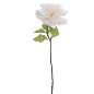 PEONIA 59 CM CREMA