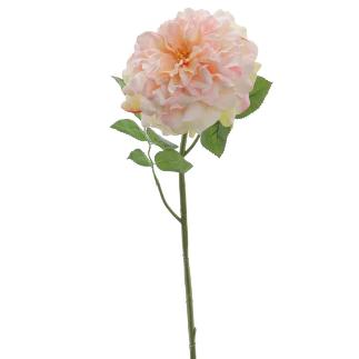 ROSA GRANDIFLORA 79 CM SALMON