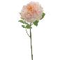 ROSA GRANDIFLORA 79 CM SALMON