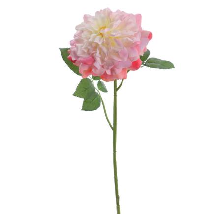 ROSA GRANDIFLORA 79 CM ROSA