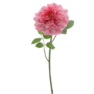 ROSA GRANDIFLORA 79 CM FUCSIA