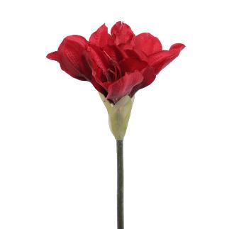 AMARYLLIS 60 CM ROJO