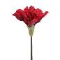 AMARYLLIS 60 CM ROJO