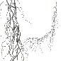 GUIRNALDA RAIZ 130 CMS VERDE