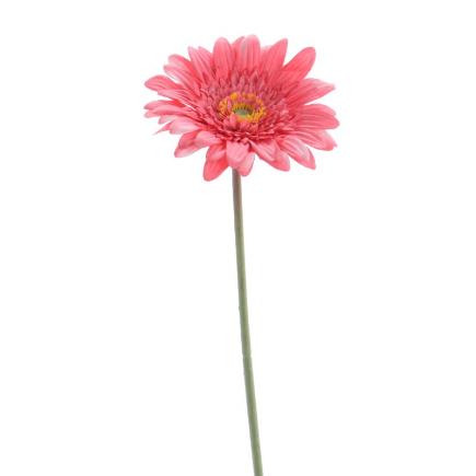 GERBERA 53 CM ROSA