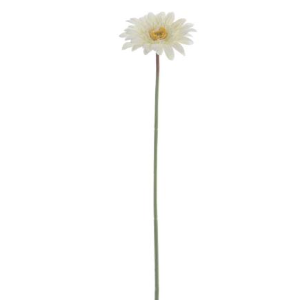 GERBERA 53 CM CREMA