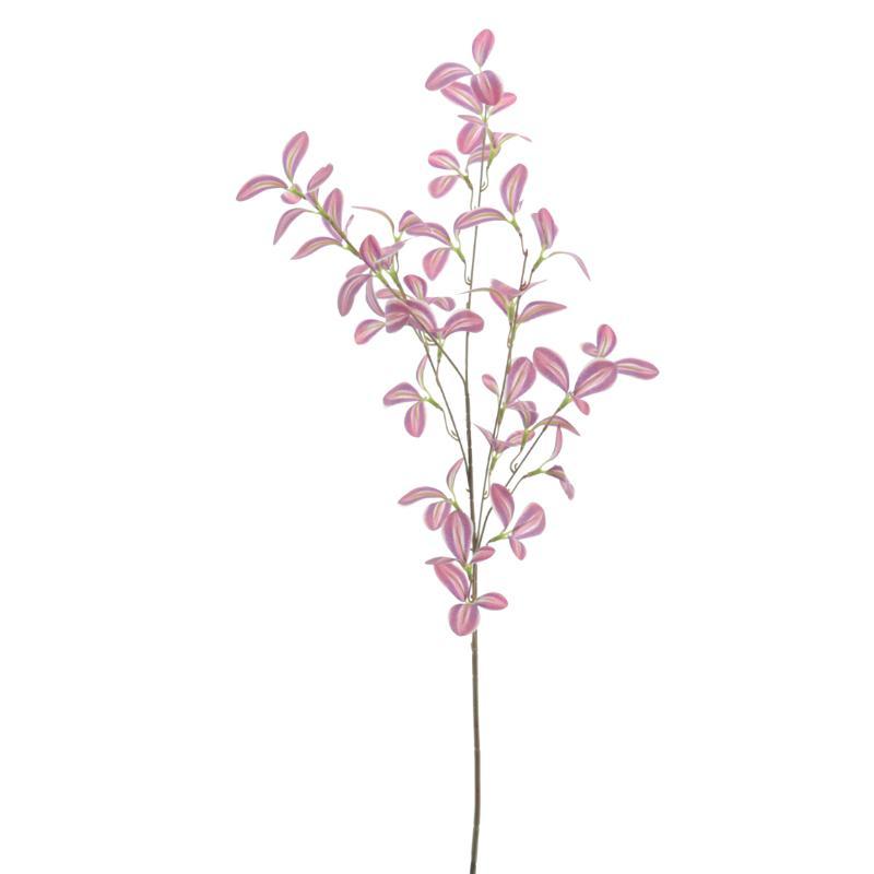 TRADESCANCIA CREMA FUCSIA