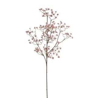 GYPSOPHILA ELEGANS ROSA