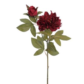 PEONIA X2 ROJO ENCARNADO