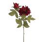PEONIA X2 ROJO ENCARNADO