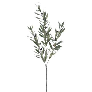 OLIVO X3 95 CM VERDE