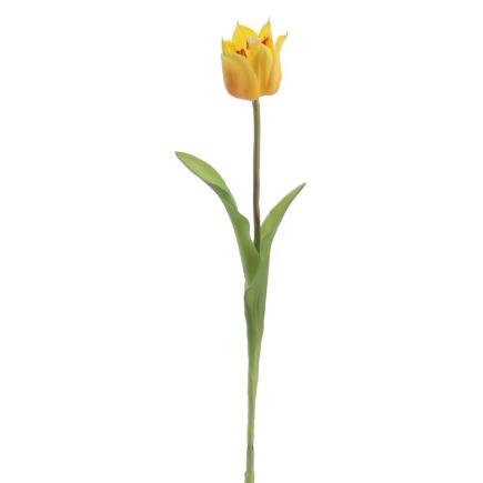 TULIPAN AMARILLO