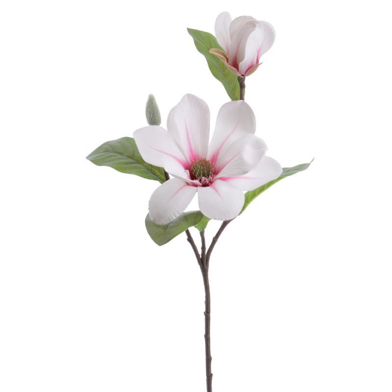 MAGNOLIA CREMA FUCSIA