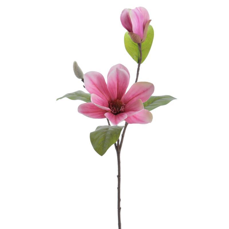 MAGNOLIA FUCSIA