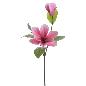 MAGNOLIA FUCSIA