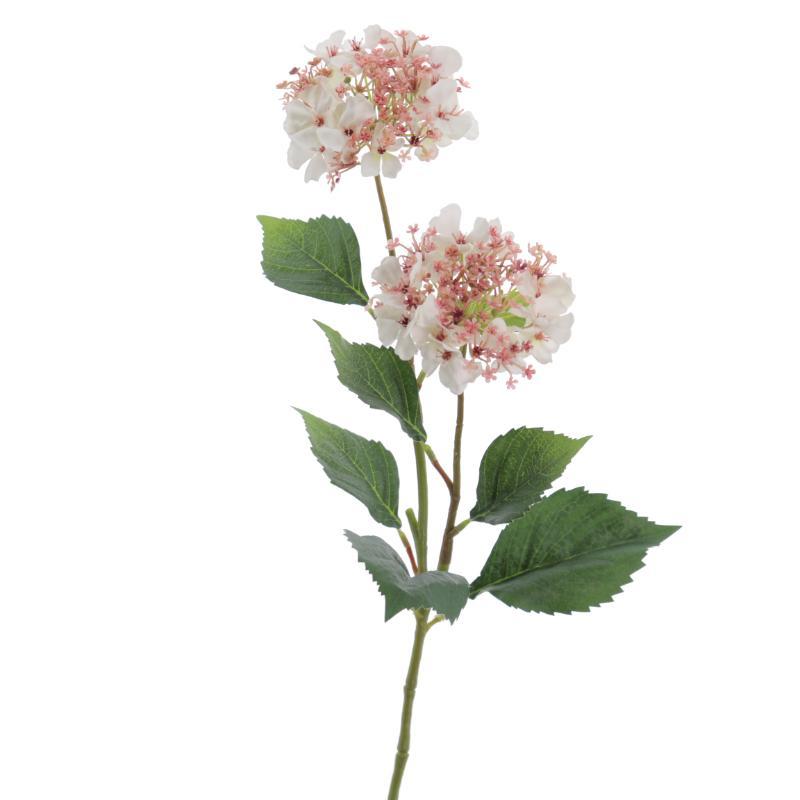 HYDRANGEA BEIGE