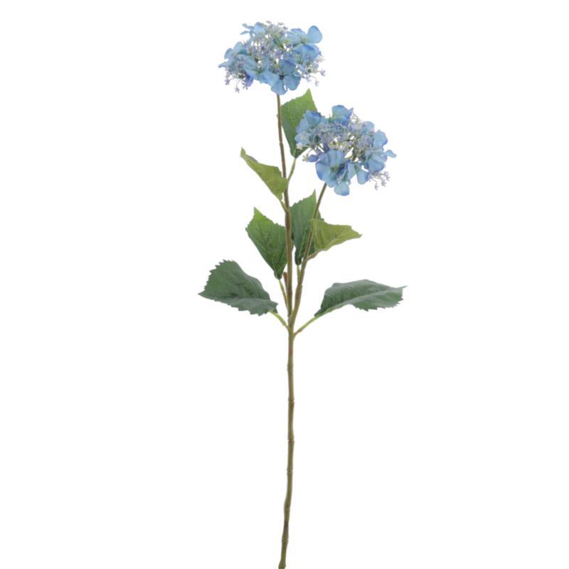 HYDRANGEA AZUL