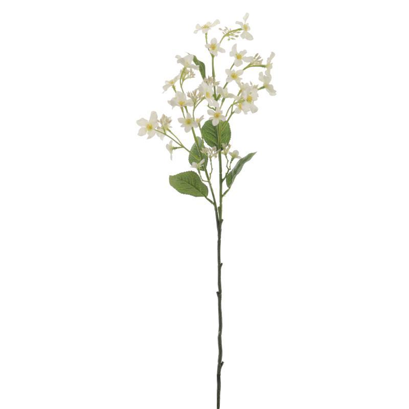 TUNG BLOSSOM CREMA