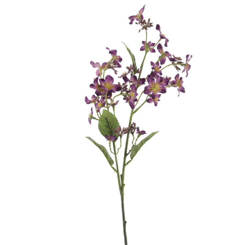 TUNG BLOSSOM PURPURA
