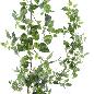 GUIRNALDA POTHOS 180 CM VERDE