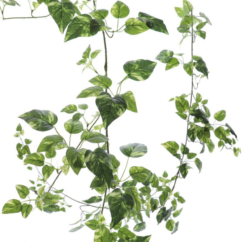 GUIRNALDA POTHOS 180 CM VERDE
