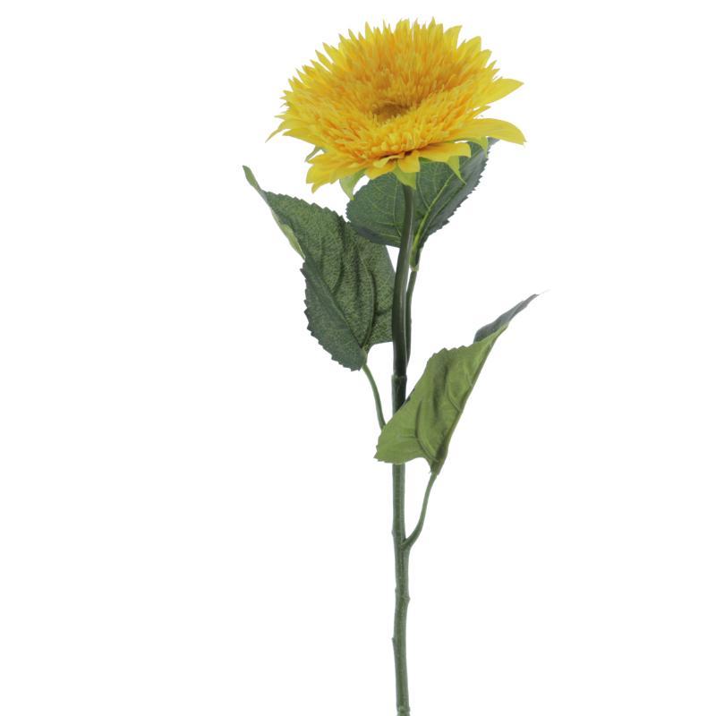 DAHLIA MUM AMARILLO