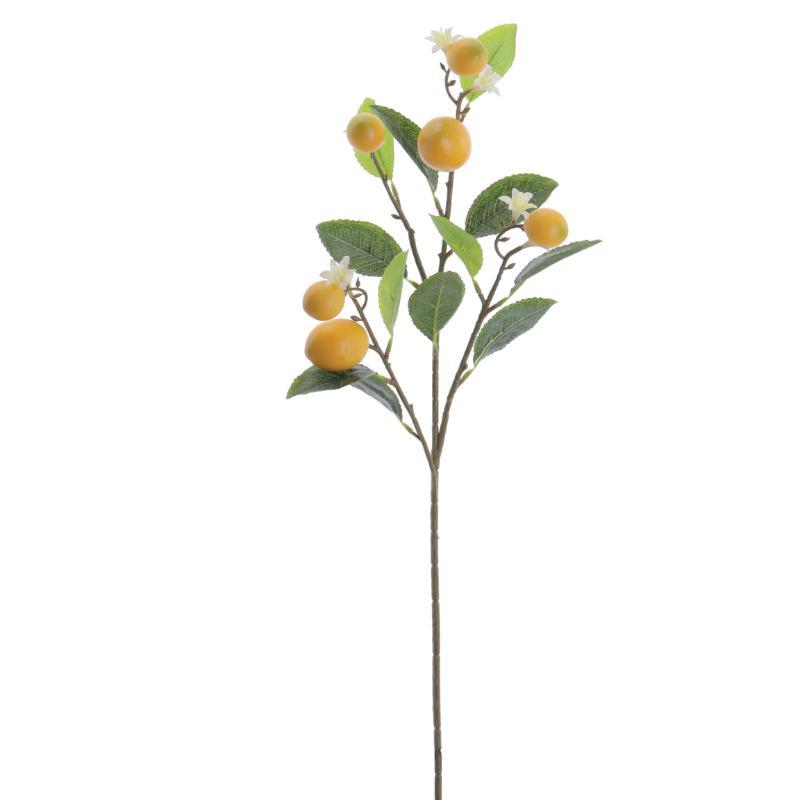 LIMON AMARILLO