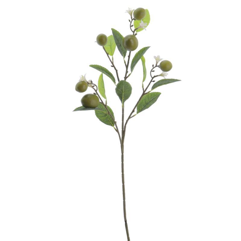 LIMA VERDE