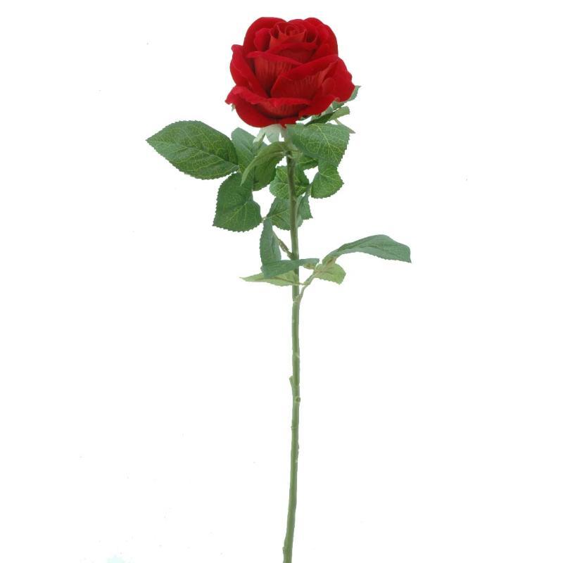 ROSA TERCIOPELO ROJO