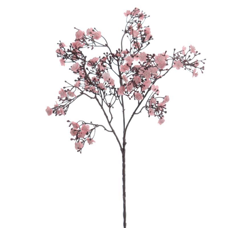 GYPSOPHILA ROSA