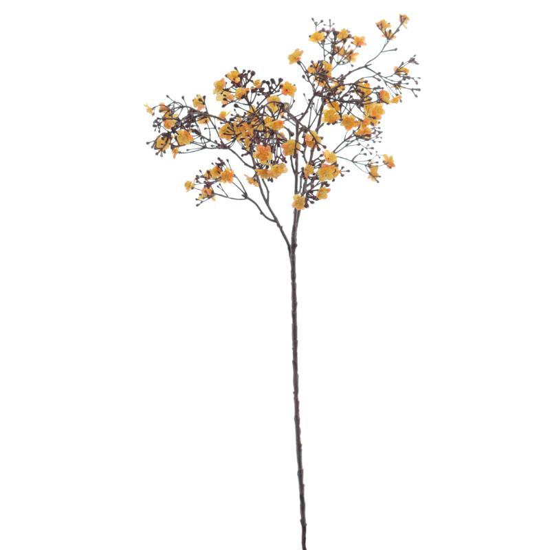 GYPSOPHILA AMARILLO