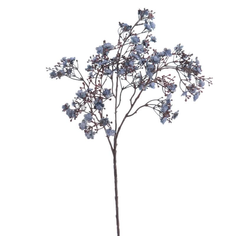 GYPSOPHILA AZUL