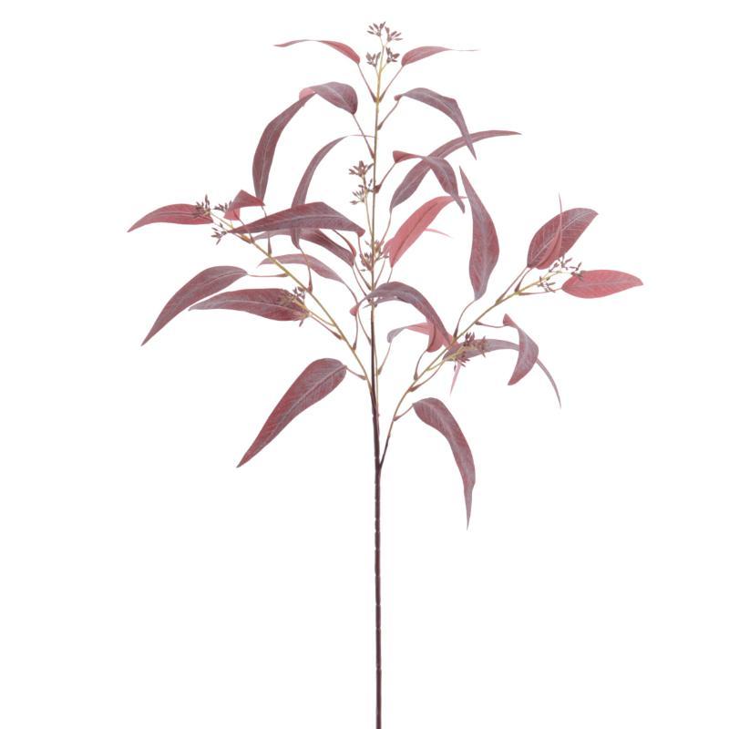 EUCALYPTUS 86 CM BURDEOS