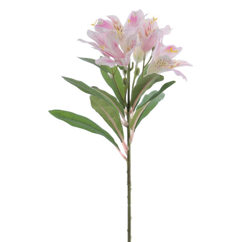 ALSTROMENIA 60 CM ROSA