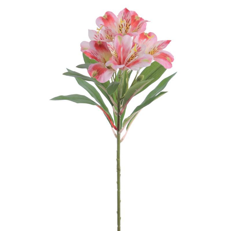 ALSTROMENIA 60 CM FUCSIA