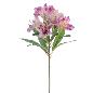 ALSTROMENIA 60 CM LILA