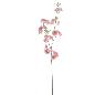 SAKURA 72 CM CORAL