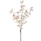SAKURA 120 CM SIENA
