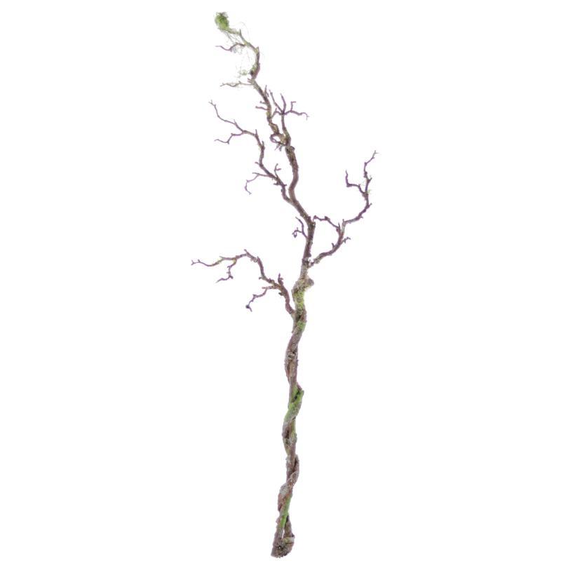 RAIZ NATURAL