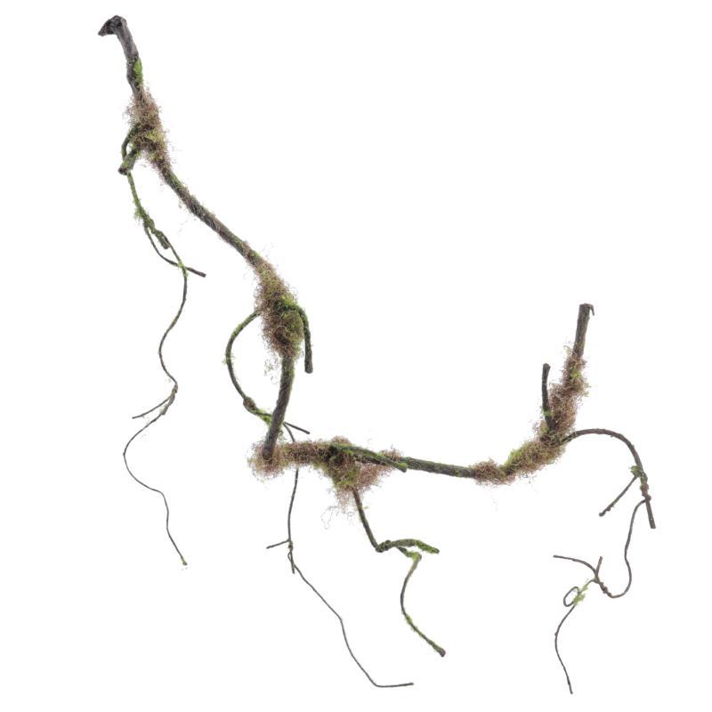 RAIZ NATURAL