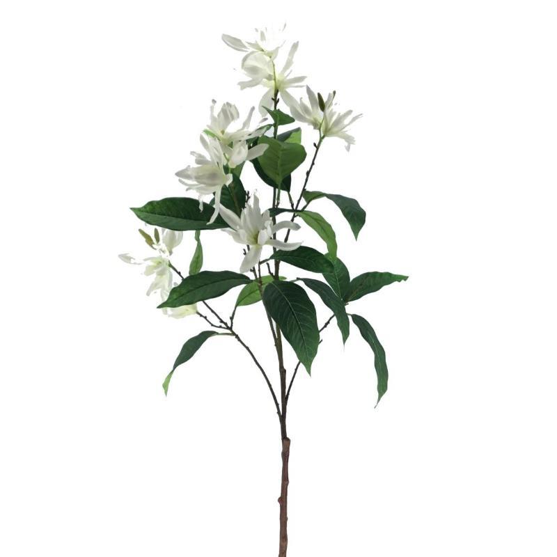 MAGNOLIA JAPONESA 110 CM BLANCO