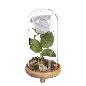 ROSA BLANCA ETERNA ARTIF LED CUPULA CRISTAL 20 CM