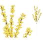 VARA FORSYTHIA 114 CM AMARILLO