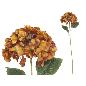 VARA HORTENSIA PRINTED (A) 77 CM TE
