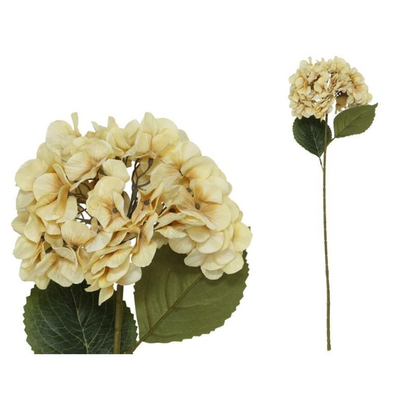 VARA HORTENSIA PRINTED (A) 77 CM CREMA
