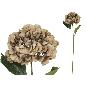 VARA HORTENSIA PRINTED (A) 77 CM OCRE