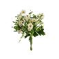 RAMO ATADO MARGARITAS X5-33 CM BLANCO
