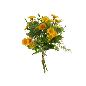 RAMO ATADO MARGARITAS X5-33 CM AMARILLO