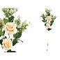 VARA ROSAS LILIES X5 87 CM CREMA