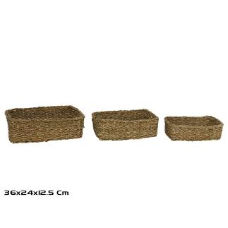 CESTA X3 KAISER RECT ALGA MARINA 36X24X12 CM